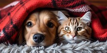 Cat And Dog Christmas With Generative Ai