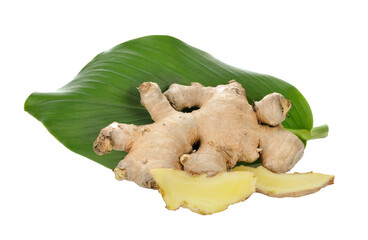 Wall Mural - ginger with leaf on transparent png