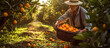 © alexkoral - male farmer harvests ripe oranges from orange trees in garden in summer. Generative AI