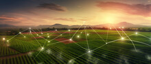 Precision Farming System Uses Artificial Intelligence To Optimize Crop Yields