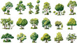 Tree vector illustration, set of graphics trees elements drawing for architecture and landscape design, elements for environment and garden