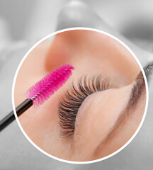 Wall Mural - Beautiful Woman with long eyelashes in a beauty salon. Eyelash extension procedure. Lashes close up