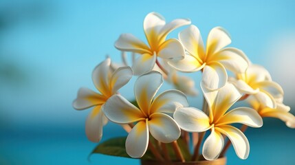 Wall Mural - White frangipani flower against a blue sky. Generative AI.