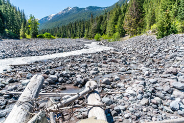 White River And Trees 2