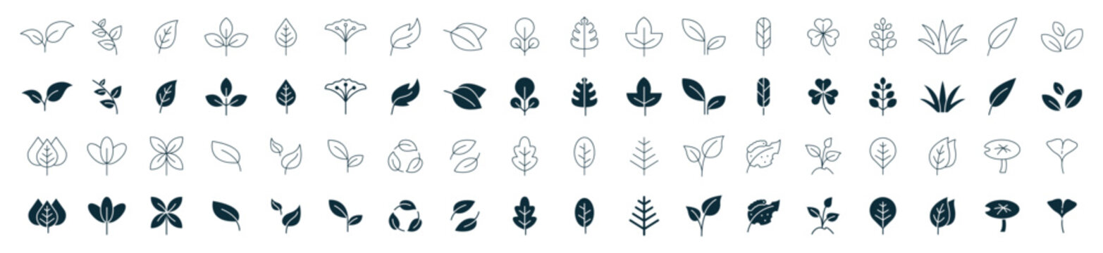 leaf icon set line and fill. leaves of trees and plants, leaves icon collection, design for natural,