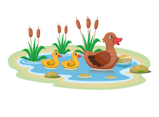 Clean small lake with blue water, duck with ducklings, water lilies, stones, reeds. Cartoon style isolated on white background