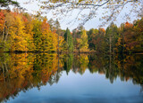 Fototapeta Łazienka - autumn in the park