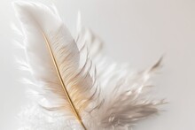 Beautiful Fluffy White Feather On A Background Of White, Abstract Feather. High Quality. Copy Design And Text Spacing. Pastel Beige And White Are The Colors. High Quality. Generative AI