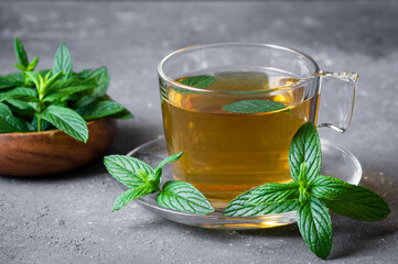 Wall Mural - Cup of mint tea with fresh green mint leaves on rustic table, healthy herbal hot drink