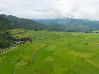 Aerial top view of fresh paddy rice terraces, green agricultural fields in countryside or rural area of Mu Cang Chai, mountain hills valley in Asia, Vietnam. Nature landscape background.