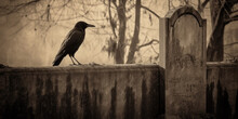  A Lone Raven Perches On A Weathered Tombstone In A Forgotten Graveyard   Generative AI Digital Illustration Part#110623