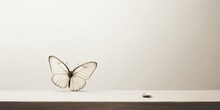 Silent Symphony: Focus On A Solitary Butterfly Against A Minimalist Background  Generative AI Digital Illustration Part#110623