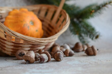 Acorns And Pumpkin In A Wicker Basket On An Abstract Background In Autumn.