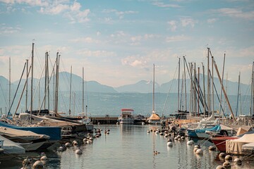 Wall Mural - yachts in the big harbor