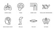 human body parts outline icons set. thin line icons such as human lungs, tonsil, bones joint, masculine chromosomes, brain inside human head, men leg, thin lips, hip bone vector.