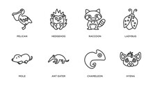 Animals Outline Icons Set. Thin Line Icons Such As Pelican, Hedgehog, Raccoon, Ladybug, Mole, Ant Eater, Chameleon, Hyena Vector.