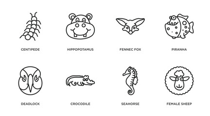 Wall Mural - animals outline icons set. thin line icons such as centipede, hippopotamus, fennec fox, piranha, deadlock, crocodile, seahorse, female sheep vector.