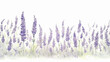lavender field watercolor delicate drawing. generative ai