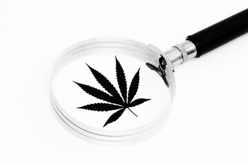 Sticker - Cannabis im Fokus