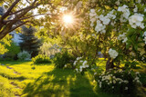 Fototapeta Kwiaty - Blooming trees in the garden on a sunny day.