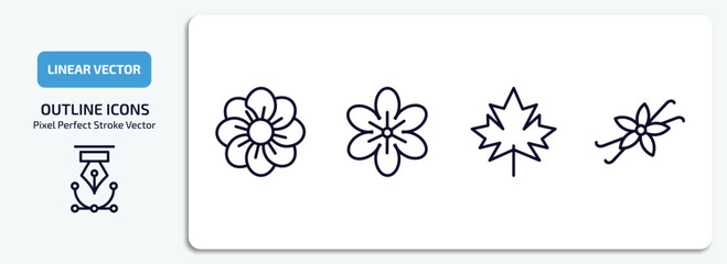 nature collection. thin outline icons set. nature collection. thin thin line icons pack included pansy, geranium, maple, vanilla vector.