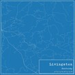 © Rezona - Blueprint US city map of Livingston, Kentucky.