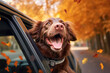 Leinwandbild Motiv Happy dog leaning out into open car window and stuck out his tongue. Its fur flutter in the wind on its joyful autumn journey. Generative Ai.