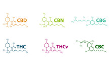 Chemical Formulas Of Natural Cannabinoids. Table Of Cannabinoids.