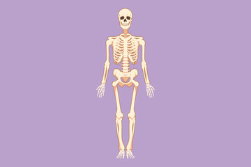 cartoon flat style drawing front view of human skeleton image logo icon, useful for creating medical
