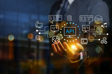 the api (application programming interface) provides the interface for communication between applica