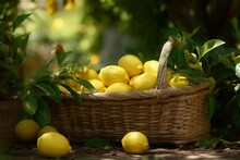 Lemon Basket Garden Food. Generate Ai