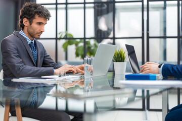 Wall Mural - Portrait of a smiling young businessman working on laptop at office with his colleague.