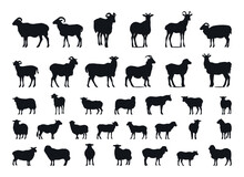 Sheep And Goat Silhouettes Set Illustration Vector