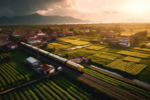 Train Crossed Rice Field At The Sunny Day