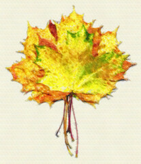 Wall Mural - Bouquet of fall maple leaves digital watercolors