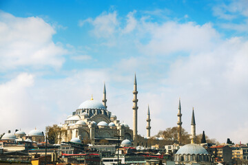 Wall Mural - Suleymaniye mosque in Istanbul, Turkey.