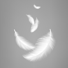 Wall Mural - white flying realistic feathers. bird feather composition, lightness effect of pillows or air. vecto