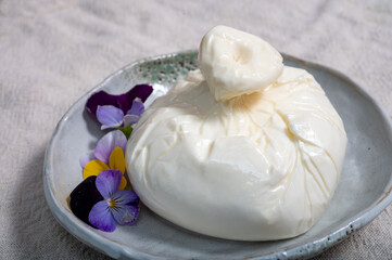 Fresh handmade soft Italian cheese from Puglia, white ball of burrata foglia saporosa or burratina cheese made from mozzarella and cream filling