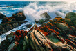 © Andrew Kornylak - Waves crash on colorful lichen and barnacle covered boulders on he rocky coast of Asilomar State Park near Monterey, California