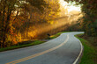 © Andrew Kornylak - Sunbeams on a country road on a fall morning in Dahlonega, Georgia