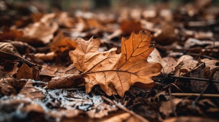 Poster - autumn leaves on the ground