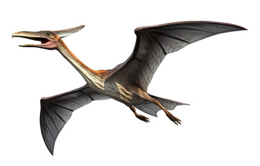 Wall Mural - pterodactyl flying concept isolated on transparent background - generative ai
