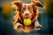 A dog catching a ball in mid-air with intense focus and determination, highlighting its agility and athleticism.
