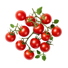 Cherry Tomatoes Ornamental Plants Flower  Isolated On White Background Png.