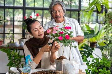 Happy gardener senior old eldery couple looking at young plant watering and gardening with potted plants taking care small tree in garden at home.Retirement concep