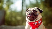 Cute Pug Dog Wearing Red Scarf And Celebrating Canada Day At The Park. Generative Ai.