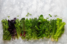 Fresh Greens Basil,coriander,lettuce,purple Basil,mountain Coriander,dill,green Onion In Plastic Boxes On Grey Concrete Background,copy Space,top View