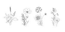Minimal Botanical Summer Graphic Sketch Line Art Drawing, Trendy Tiny Tattoo Design, Leaf Elements Vector Illustration