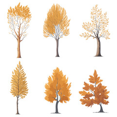  Minimal style tree painting hand drawn. Autumn tree watercolor vector illustration. Set of graphics trees elements drawing for architecture and landscape design. White background