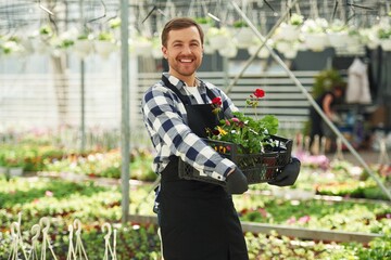 Wall Mural - Black uniform, holding flowers. Man is working in garden center. Successful employee is in a bright greenhouse